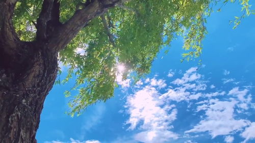 今日天气，阳光正好，微风不燥