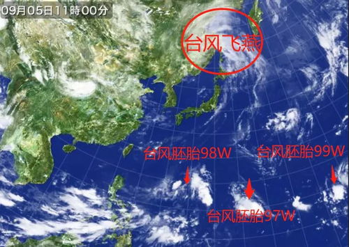 台风路径实时卫星云图，科技之眼，洞悉风暴的轨迹