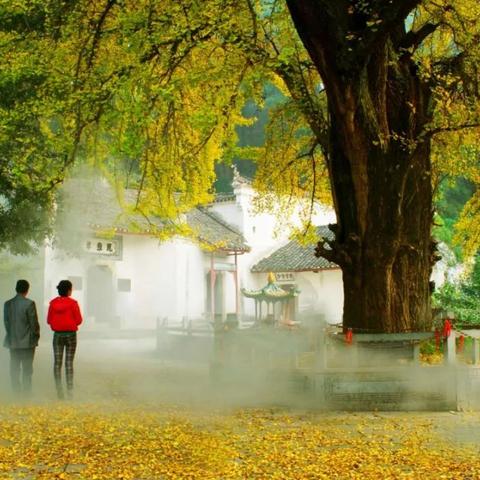 湖北咸宁天气预报，一场风雨，一场诗意