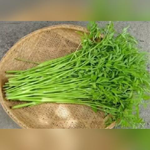 广州实时天气预报,精准掌握羊城风云变幻,这份指南请收好 广州实时天气预报,精准掌握羊城风云变幻,这份指南请收好