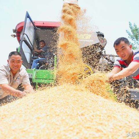 加拿大28历史走势记录,加拿大28走势图汇总 V3.58.12 ✅✅✅ 加拿大28历史走势记录,加拿大28走势图汇总 V3.58.12 ✅✅✅