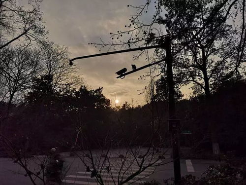 雨在来的路上