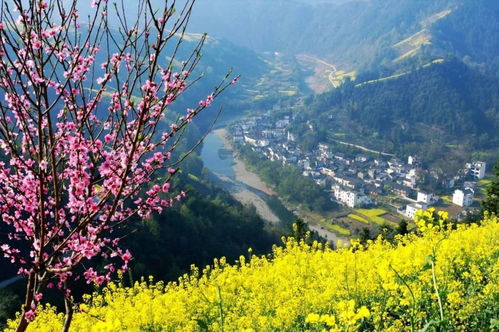 泸州2024年11月天气,秋意渐浓,暖阳伴微寒 泸州2024年11月天气,秋意渐浓,暖阳伴微寒