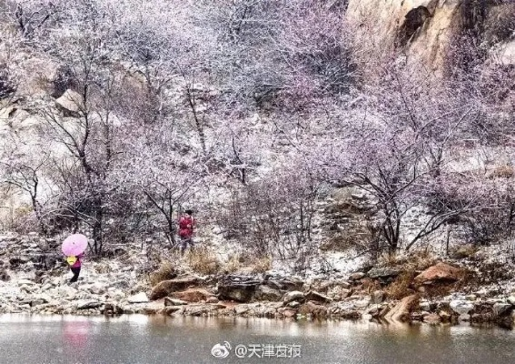 蓟县天气，四季流转中的山川诗意