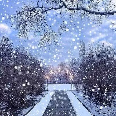 靖州今年会下雪吗？气象预测揭秘