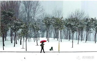 靖州今年会下雪吗 靖州今年会下雪吗