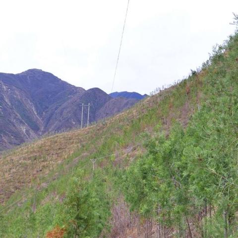 陇南天气,一方水土的呼吸与脾气 陇南天气,一方水土的呼吸与脾气