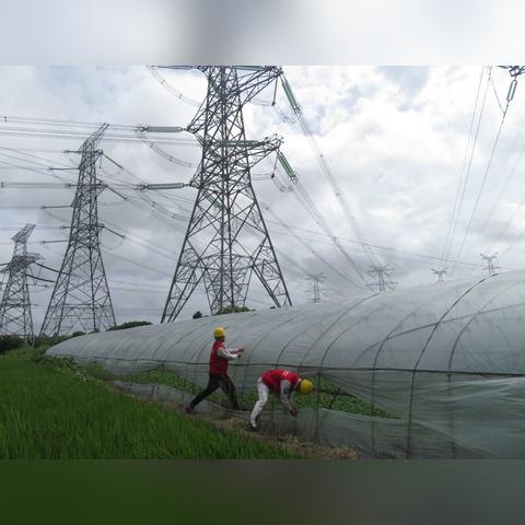 风雨将至,最新台风动态与防御指南 风雨将至,最新台风动态与防御指南