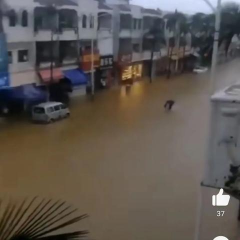 广州明天几点会下雨?这份精准时段预测帮你规划出行 广州明天几点会下雨?这份精准时段预测帮你规划出行
