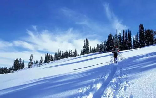冬季旅游最佳去处，在冰雪与暖阳间邂逅冬日浪漫