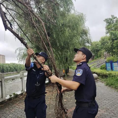 浙江台风路径，从历史轨迹看防灾减灾的智慧与挑战✅LOL电竞下注