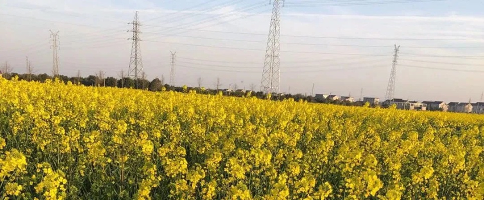 苏州天气预报一周7天,春日多变,晴雨交替需留意✅娱乐中心Welcome购彩 苏州天气预报一周7天,春日多变,晴雨交替需留意✅娱乐中心Welcome购彩