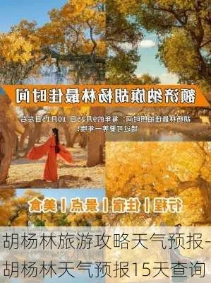 胡杨林天气预报15天,穿越千年的风与沙✅彩运网 胡杨林天气预报15天,穿越千年的风与沙✅彩运网