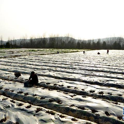 娄底十五日天气观察，从预报看换季节奏，这份生活指南请收好✅JDB电子公司
