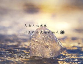 一场活着的预报 一场活着的预报