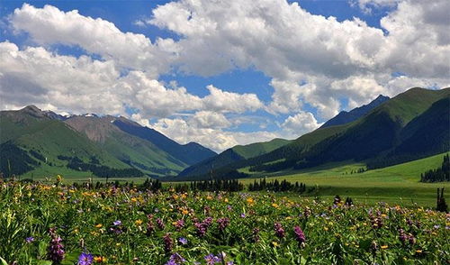 新疆绝美景点旅游攻略，带你深度领略西域风情 V7.32.1