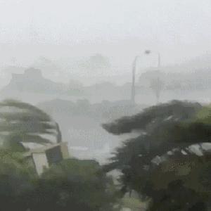 福建未来15天天气预报查询指南