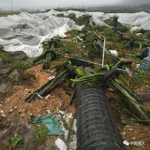 湖南新化天气预报,精准掌握天气变化,出行生活更从容 湖南新化天气预报,精准掌握天气变化,出行生活更从容