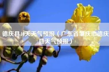 岭南小城的阴晴圆缺，德庆天气里藏着的生活哲学