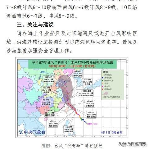 实时台风，数字时代的气象预警与生存智慧