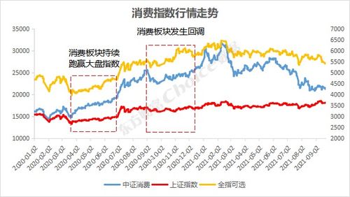 复苏之路，2023年10月疫情恢复后的生活图景
