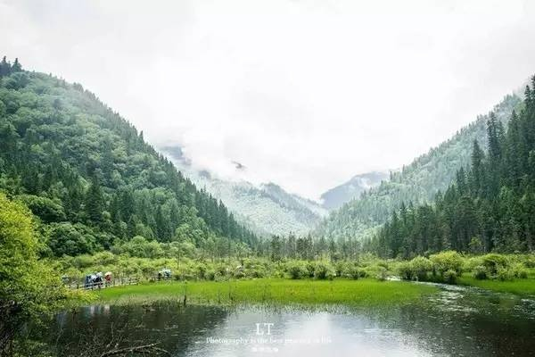 九寨沟遇雨?莫愁!雨天游九寨的别样诗意与实用指南 九寨沟遇雨?莫愁!雨天游九寨的别样诗意与实用指南
