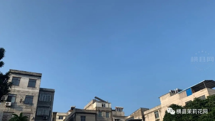 横县天气，一方水土的温柔与暴烈