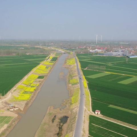东明天气预报，二十四节气里的黄河呼吸