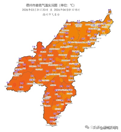 德州风云变幻，最新15天天气预报与生活指南