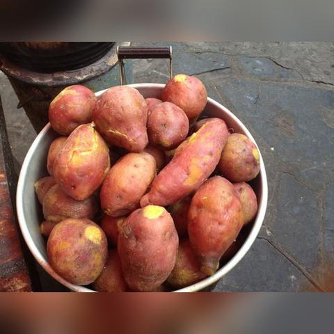 宜章天气预报，小城气候里的生活智慧与自然韵律