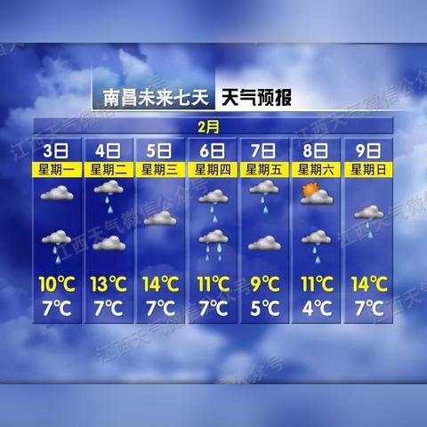 半个月天气早知道，15天预报查询的实用价值与正确打开方式