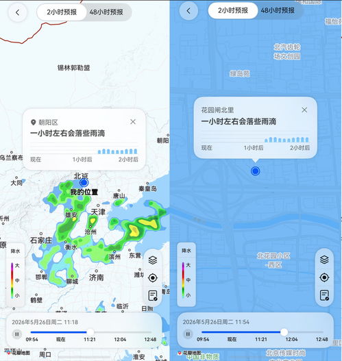 闵行天气预报，城市呼吸间的气象智慧