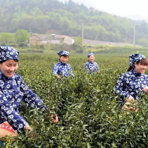 天气预报里的乡愁，庐江的阴晴冷暖，皆是家的温度