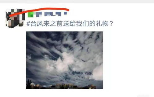 舞阳天气预报，晴雨冷暖间的人间烟火