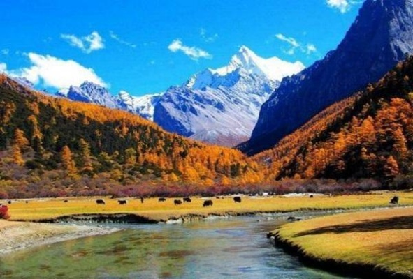 稻城亚丁几月份去最好?四季皆美,但这几个月最值得出发 稻城亚丁几月份去最好?四季皆美,但这几个月最值得出发