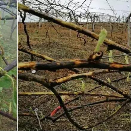 贵州未来10天阴雨频繁，气温起伏需注意防范