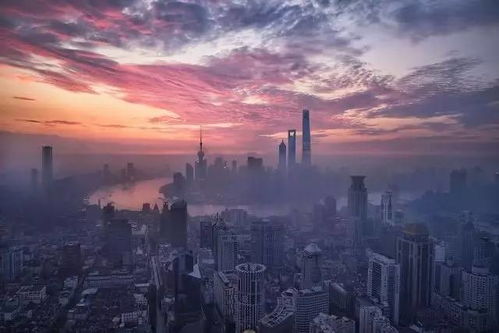 守望云图的人——上海市中心气象台的故事