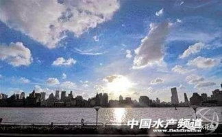 青县天气预报,守护古运河畔的晴雨冷暖 青县天气预报,守护古运河畔的晴雨冷暖